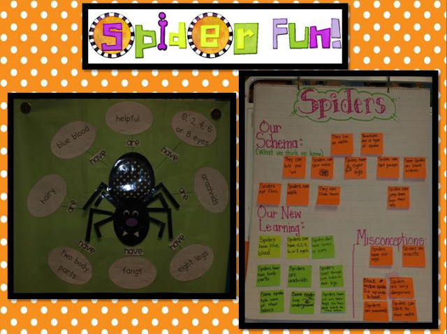 Spider Unit Fun!