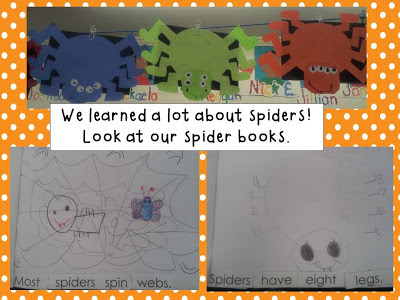 Spider Fun and Freebies!