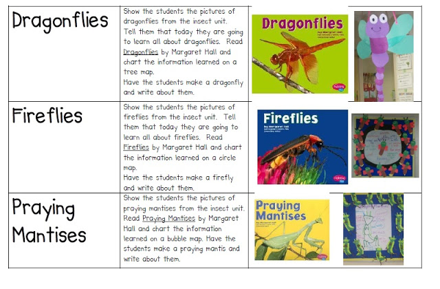 Insects Unit and a FREEBIE!