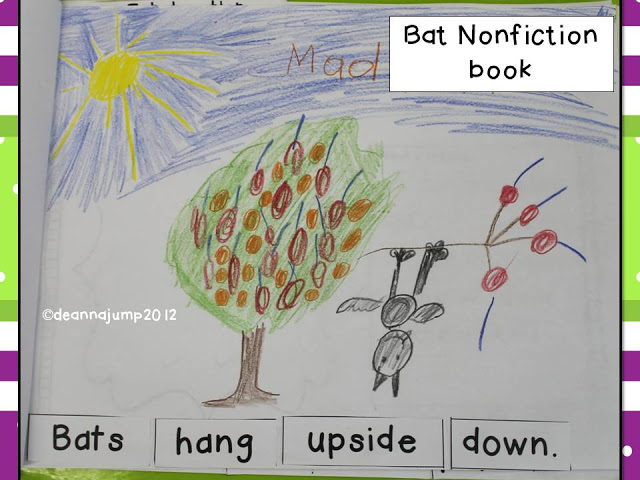 Bat Nonfiction Book