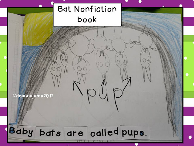Bat Nonfiction Book