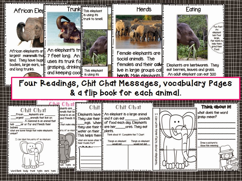 Chit Chat Messages, Close Reading Passages & More!  Giveaway