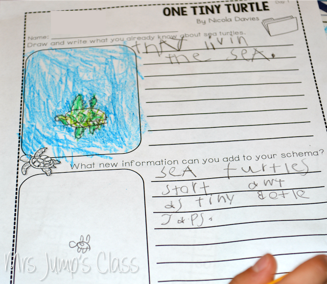 One Tiny Turtle Lesson Plans