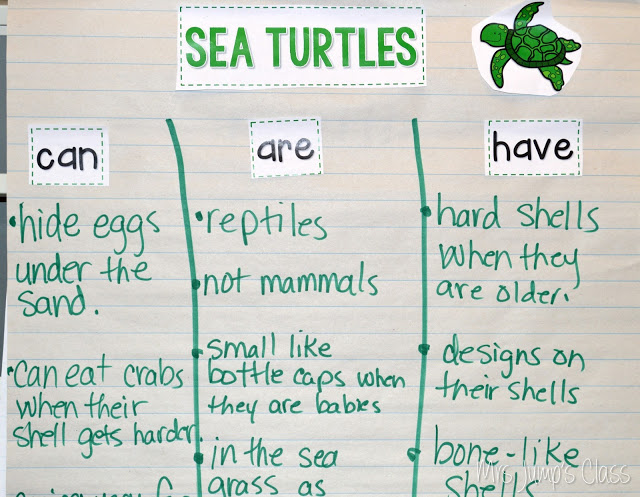 Teaching Informational Texts With One Tiny Turtle In Kindergarten