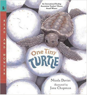 One Tiny Turtle Lesson Plans