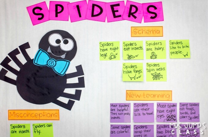 Spider informational text activities for kindergarten and first grade. This is a week long unit of study using a nonfiction book to learn about text features such as the table of contents, labels, captions, and glossary. Your students will love this fun set of lesson plans for your close read!