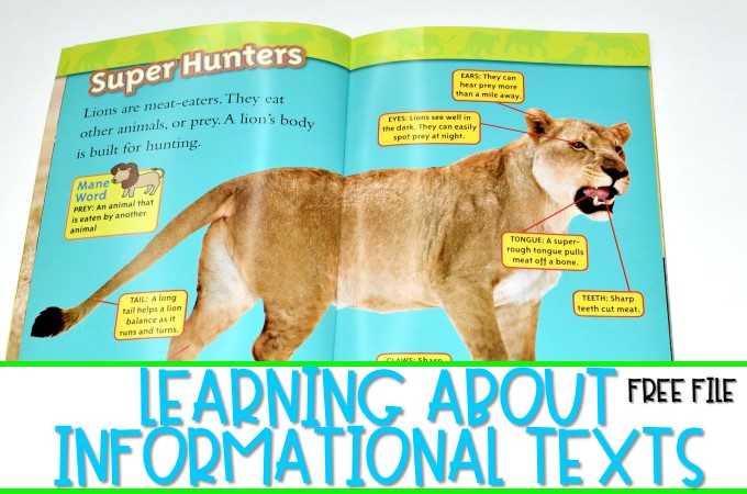 Informational text features lessons for reading and writing while studying lions! Through close reading students study the features on non-fiction books. Comprehension lessons on building schema, inferring, and opinion writing includes anchor charts and crafts for added engagement.