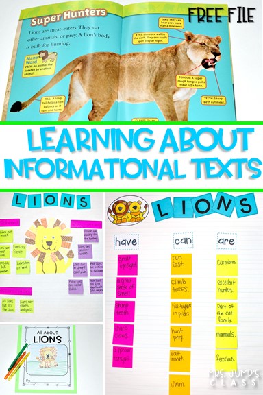 Informational text features lessons for reading and writing while studying lions! Through close reading students study the features on non-fiction books. Comprehension lessons on building schema, inferring, and opinion writing includes anchor charts and crafts for added engagement.
