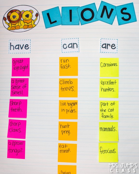 Kindergarten informational text lessons for reading and writing while studying lions! Through close reading students study the features on non-fiction books. Comprehension lessons on building schema, inferring, and opinion writing includes anchor charts and crafts for added engagement.