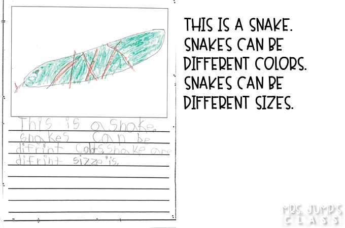 Writers Workshop Helper free file for your kindergarten or first-grade classroom. It includes an editing checklist, personal word wall template, alphabet chart, digraph chart, and blend chart. Student samples of informational writing are also included.