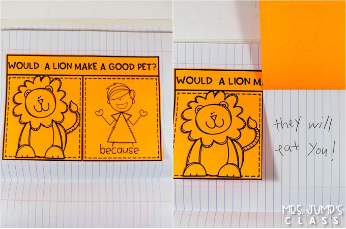 Kindergarten informational text lessons for reading and writing while studying lions! Through close reading students study the features on non-fiction books. Comprehension lessons on building schema, inferring, and opinion writing includes anchor charts and crafts for added engagement.