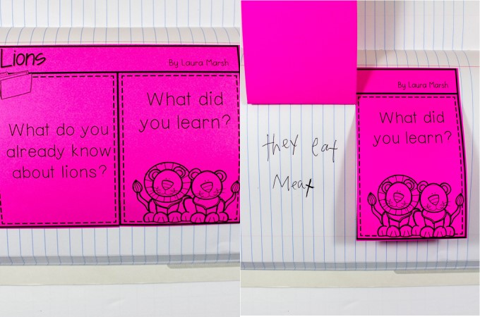 Kindergarten informational text lessons for reading and writing while studying lions! Through close reading students study the features on non-fiction books. Comprehension lessons on building schema, inferring, and opinion writing includes anchor charts and crafts for added engagement.