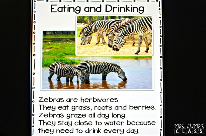 Zoo Animals unit packed full of resources! Engaging and fun activities. Chit Chat messages, close reading passages, crafts, and more! 