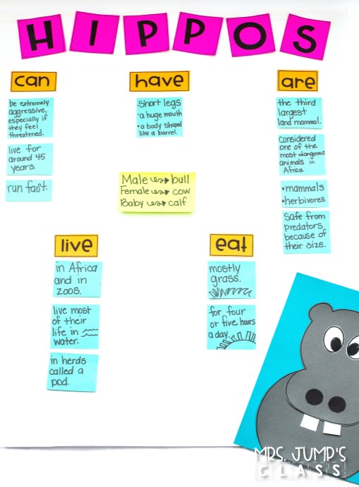 Zoo Animals unit packed full fun ideas and activities! Reading comprehension, learning about animals, close reading passages, crafts, and more!