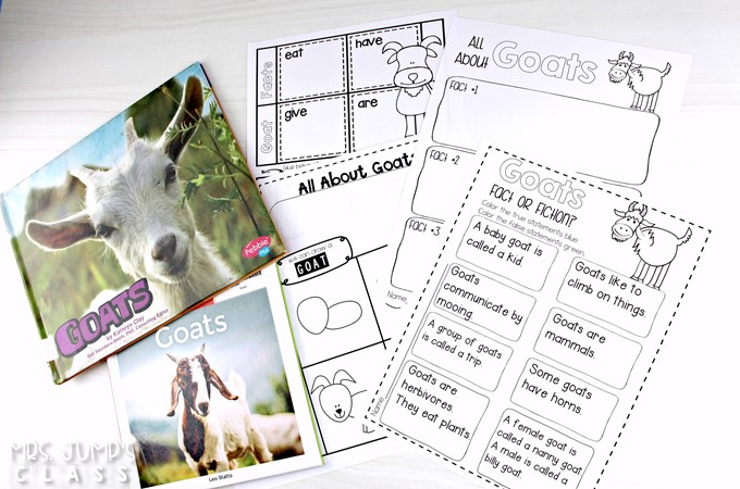 Farm animal activities to make learning about farm animals fun and engaging! Close reading, directed drawings, writing, a craft, and more! 