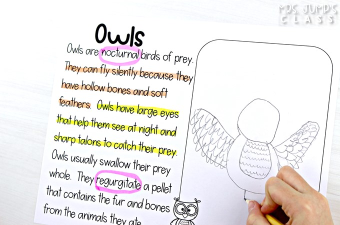 Fall themed close reading passages to teach your primary students how to annotate a text. Your students will love this color-coded method using DOTS!