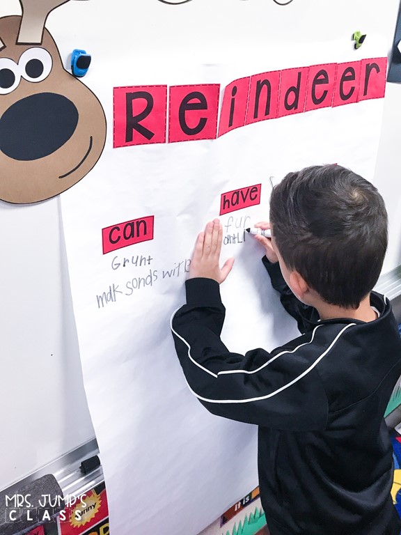 Kindergarten and first grade students will love learning about reindeer with these engaging reindeer activities. Informational texts, response to reading, directed drawing, and more!