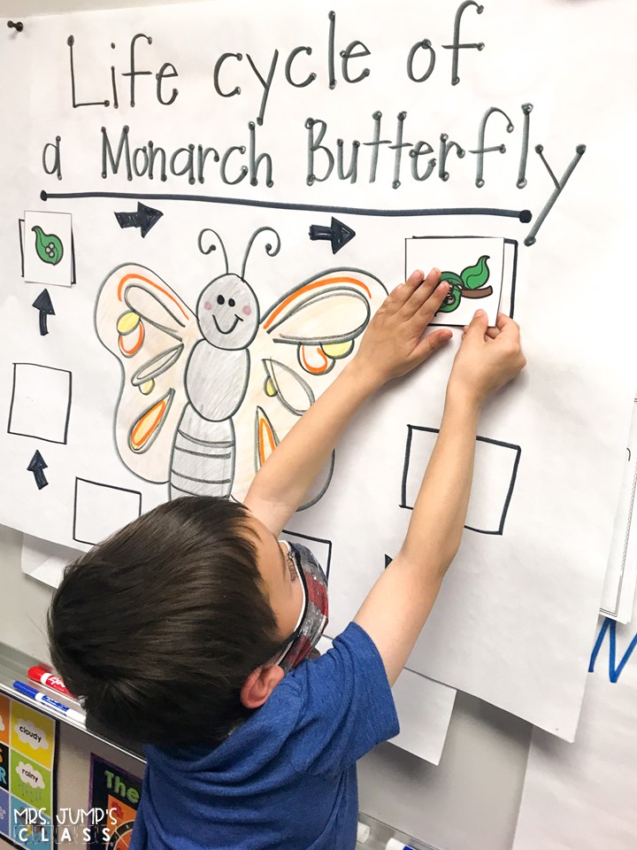 Butterfly lesson plans. Students respond to literature using the story, The Very Impatient Caterpillar and also learn about the butterfly life cycle and migration using nonfiction text.