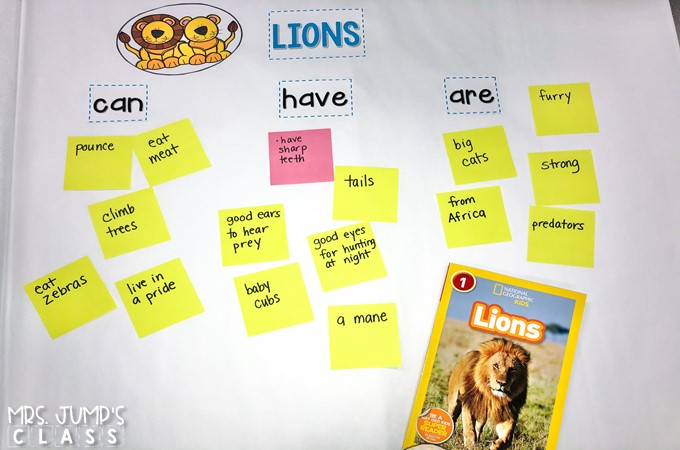 African animal activities that are perfect for a zoo unit! Your students will love learning about African animals with these nonfiction book activities. Engaging reading lessons about lions, giraffes, elephants, and meerkats.