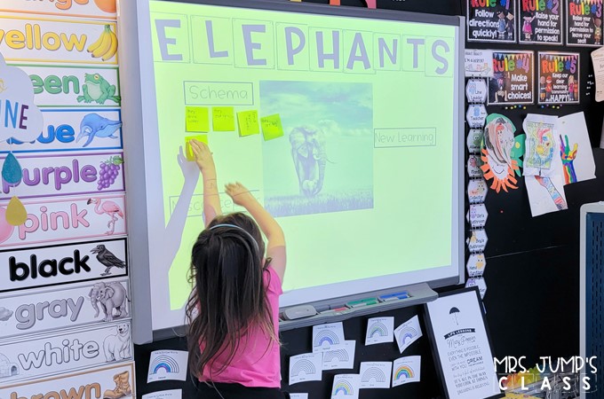 Your students will love learning about African animals with these nonfiction book activities. Engaging reading lessons about lions, giraffes, elephants, and meerkats. Great for a zoo unit!