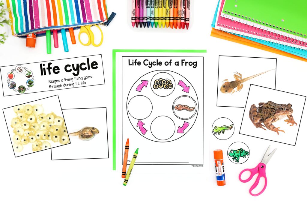 Printables for teaching the life cycle of a frog