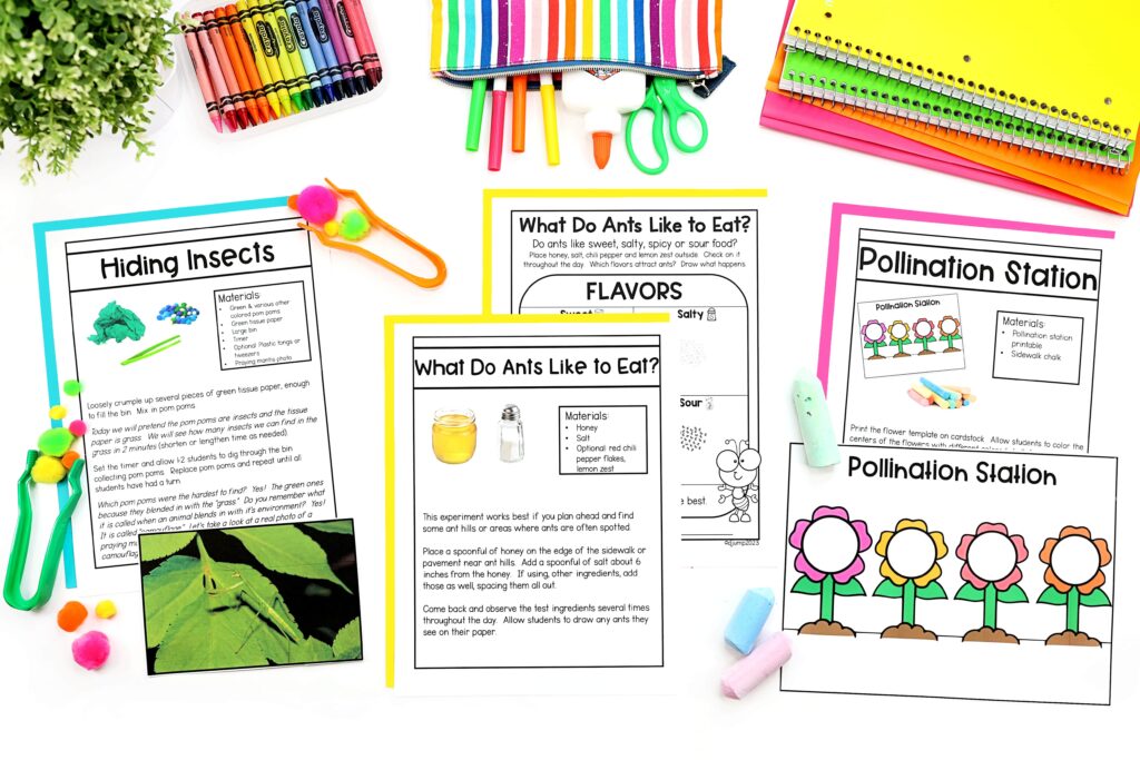 A variety of insect theme STEM activities