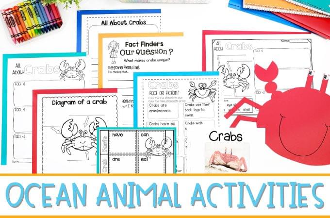 Ocean animal activities